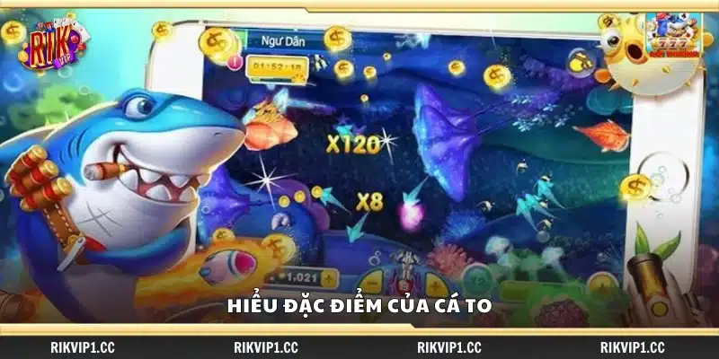 Hiểu đặc điểm của cá to